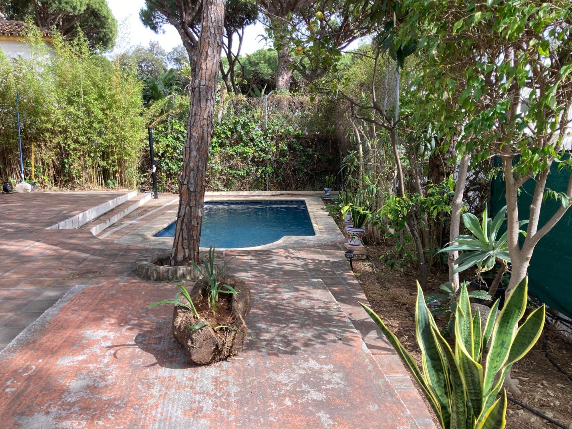Marbella White Home, Calahonda, By Sol Maestranza Sitio de Calahonda المظهر الخارجي الصورة